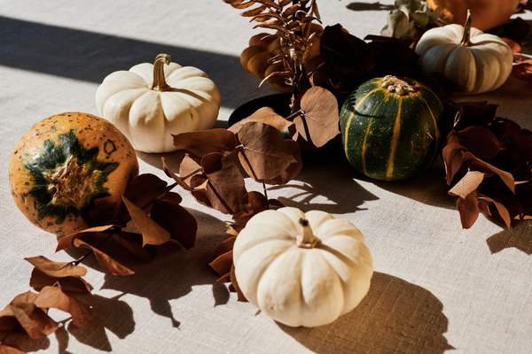 Pumpkins and Herbarium on White Tablecloth